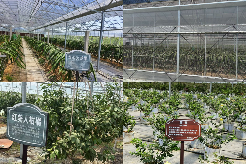 青春助农业,校企政同行——江南大学“浙里浔光”实践团走访湖州双林镇农业企业