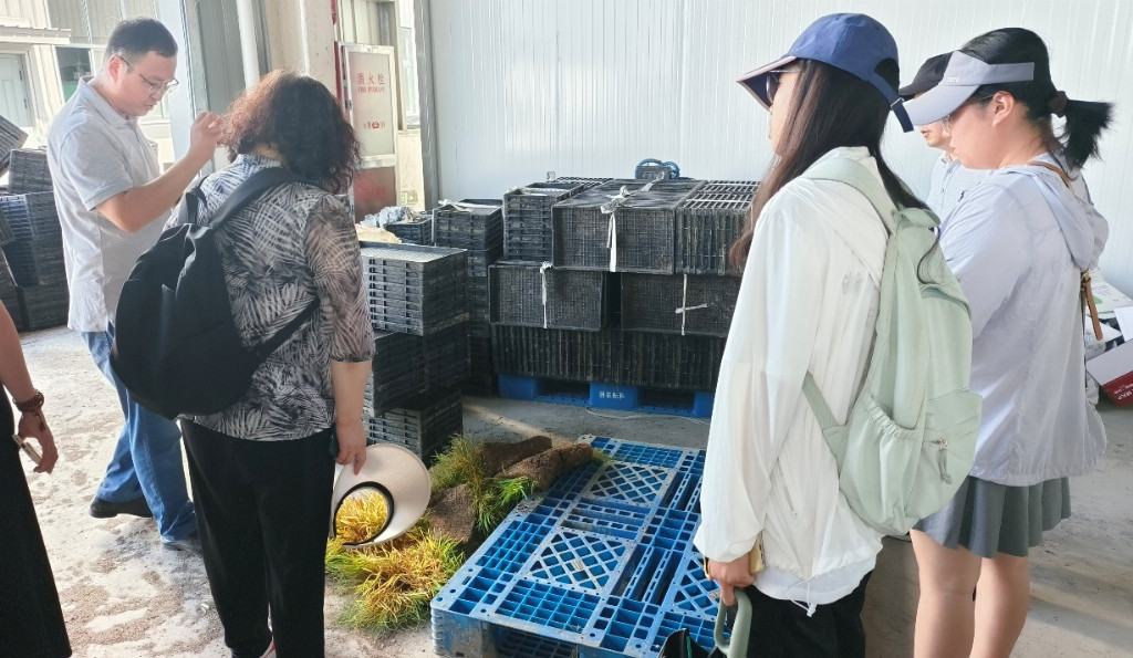 青春助农业,校企政同行——江南大学“浙里浔光”实践团走访湖州双林镇农业企业